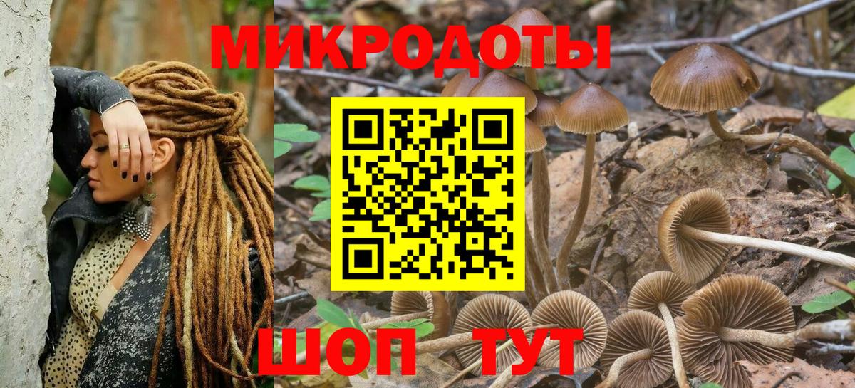 Тимашёвск  Галлюциногенные грибы GOLDEN TEACHER  Вход с VPN 